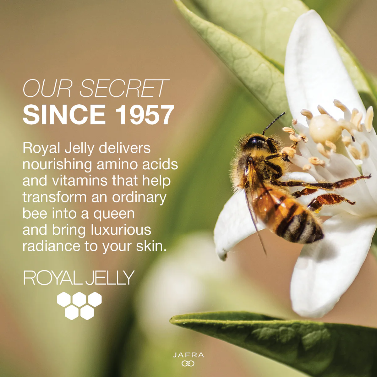 Royal Jelly Advanced Hydrating Facial Milk Balm - Image 3